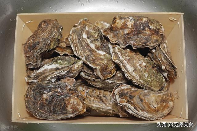福建生蠔批發(fā)一手貨源，生蠔批發(fā)一手貨源多少錢一噸？