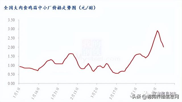 哪里有土雞苗批發(fā)，本地土雞苗批發(fā)市場？