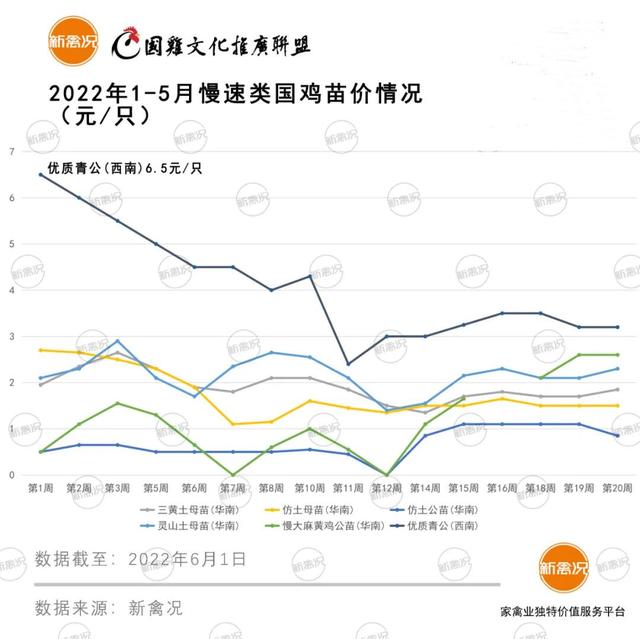 土雞苗批發(fā)市場在哪里，土雞苗批發(fā)市場在哪里的？