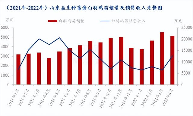 種禽龍頭4月銷售收入大幅上漲，白羽雞苗5月市場行情急轉(zhuǎn)直下
