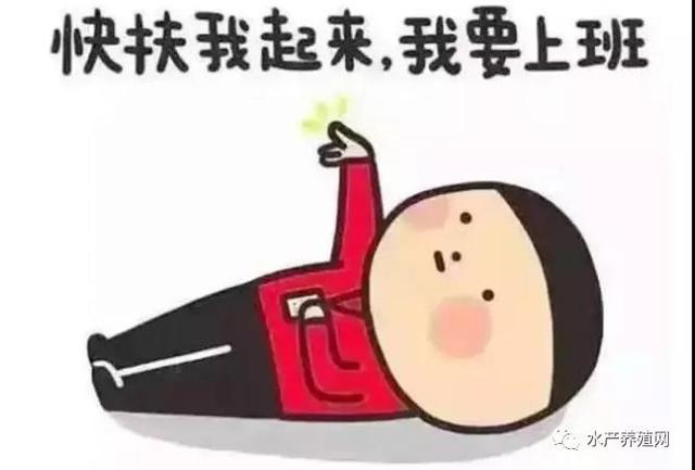 魚苗批發(fā)基地_批發(fā)市場(chǎng)，58同城魚苗批發(fā)？
