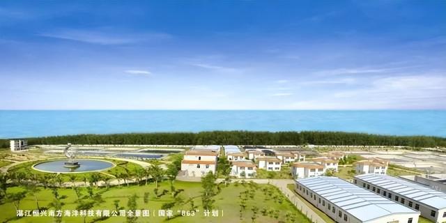 河蝦苗批發(fā)蝦苗基地，哪里批發(fā)蝦苗？