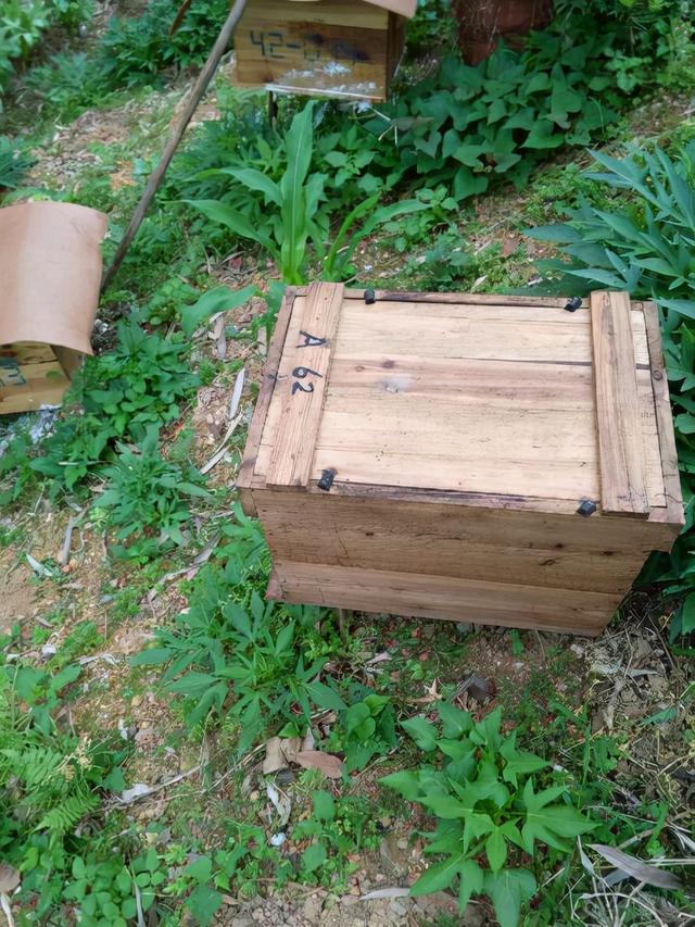 蜂箱批發(fā)30元兩頭開蜂箱，蜂箱批發(fā)30元兩頭開蜂箱好嗎？