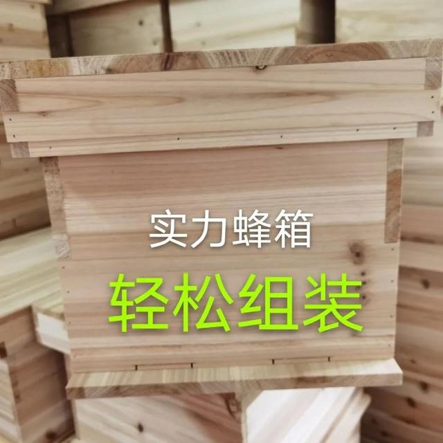 蜂箱怎么賣，哪里有蜂箱賣,多少錢一個？