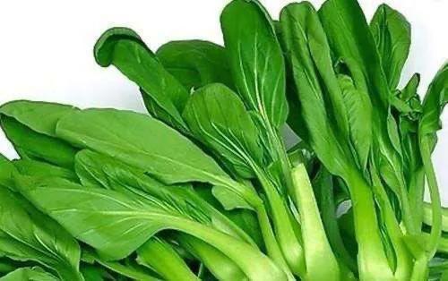 批發(fā)青菜_一天賺8000幾個小時最好，批發(fā)青菜_一天賺8000幾個小時能賺多少？