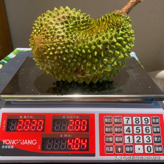 泰國榴蓮批發(fā)市場進(jìn)貨渠道官網(wǎng)，泰國榴蓮批發(fā)市場進(jìn)貨渠道在哪？