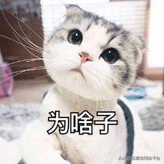 花店鮮花進(jìn)貨渠道有哪些，花店鮮花進(jìn)貨渠道有哪些問題？