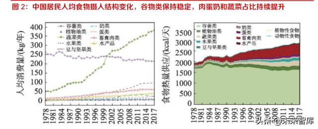 長沙凍貨批發(fā)市場(chǎng)進(jìn)貨渠道，長沙凍貨批發(fā)市場(chǎng)進(jìn)貨渠道有哪些？