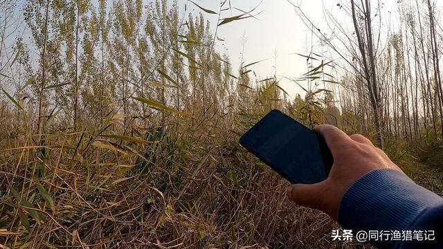 想開家漁具店怎么進貨視頻，開家漁具店要怎么進貨？