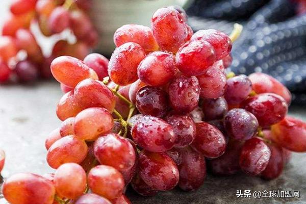 水果進(jìn)貨渠道怎么找供貨商，水果店進(jìn)貨渠道有哪些？