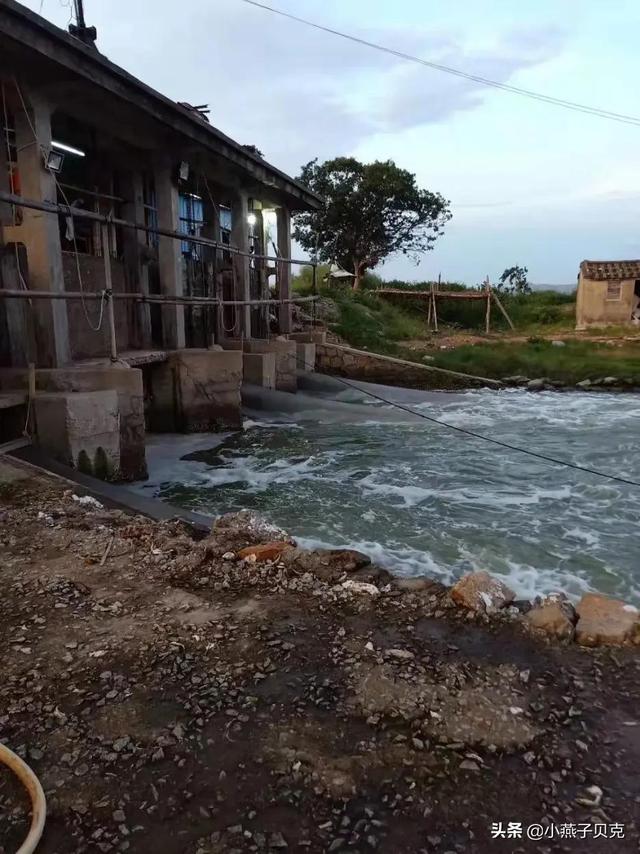 海鮮批發(fā)市場進貨渠道有電話號碼嗎，海鮮店去哪里進貨？