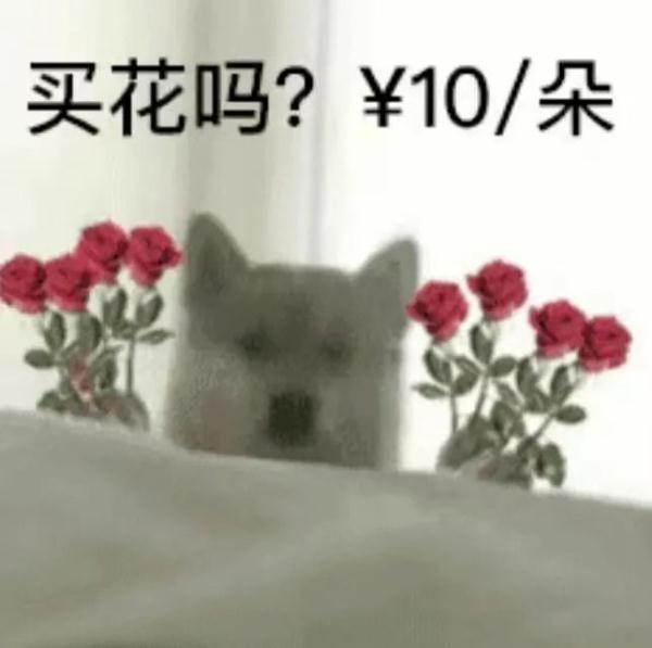 廣州的花卉批發(fā)市場(chǎng)，廣州哪里批發(fā)花卉市場(chǎng)？