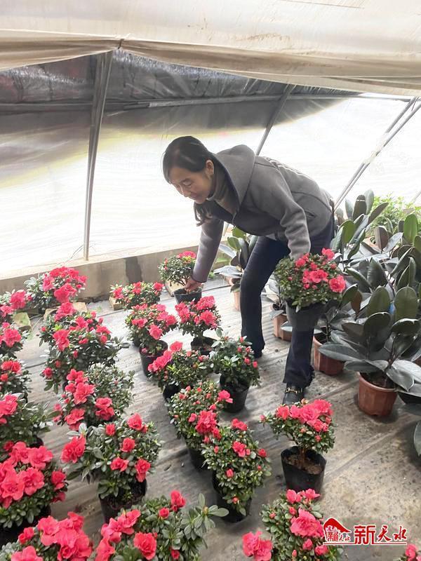 北京批發(fā)花卉去哪里進(jìn)貨，北京批發(fā)花卉去哪里進(jìn)貨便宜？