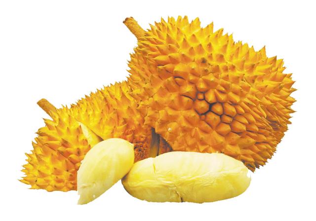 榴蓮從哪里進(jìn)貨便宜又好吃，榴蓮從哪里進(jìn)貨便宜又好吃呢？