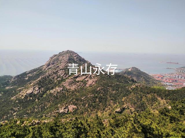 區(qū)域代理合同模板，委托代理合同模板？