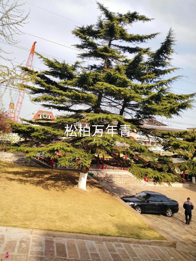 貨運代理合同模板，化妝品代理合同模板？