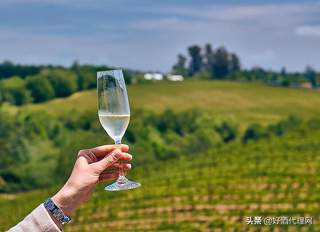茅臺葡萄酒代理價格表，茅臺葡萄酒代理加盟條件？