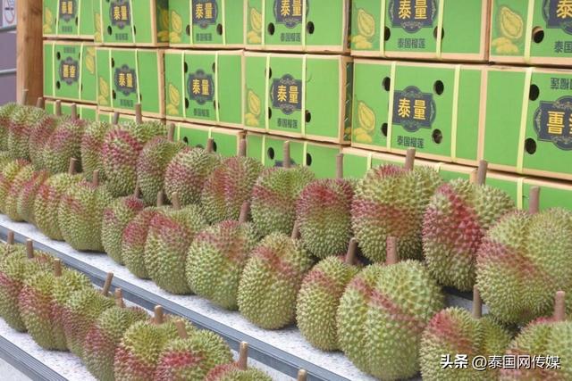 泰國(guó)榴蓮批發(fā)市場(chǎng)進(jìn)貨渠道圖片，泰國(guó)榴蓮批發(fā)市場(chǎng)進(jìn)貨渠道圖片大全？