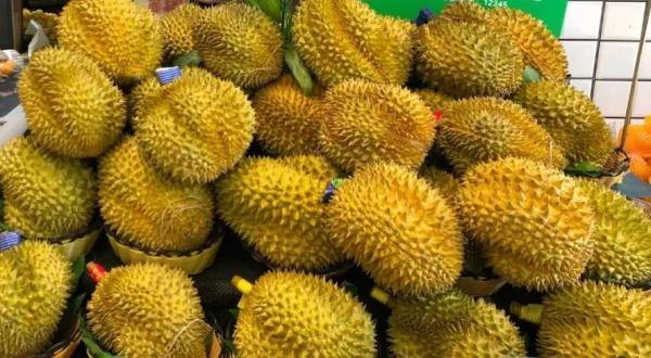 泰國榴蓮批發(fā)市場進(jìn)貨渠道官網(wǎng)，泰國榴蓮批發(fā)市場進(jìn)貨渠道在哪？