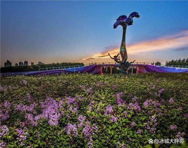 哈爾濱鮮花批發(fā)市場哪里最便宜，哈爾濱鮮花批發(fā)市場哪里最便宜又好？