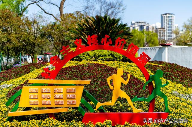 農(nóng)副產(chǎn)品一手貨源批發(fā)網(wǎng)，哪里有一手農(nóng)產(chǎn)品貨源？