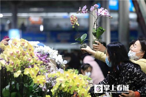 昆明鮮花批發(fā)市場(chǎng)地址個(gè)區(qū)，昆明鮮花批發(fā)市場(chǎng)地址在哪里怎么坐車去？