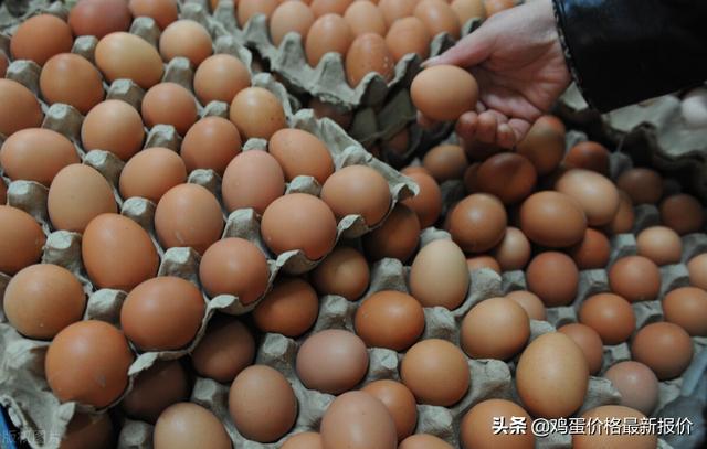 重慶雞蛋批發(fā)哪里最便宜，重慶雞蛋批發(fā)哪里最便宜的？