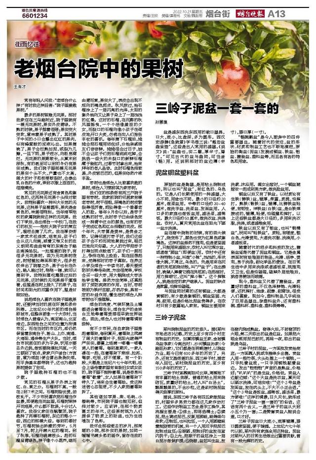 花盆批發(fā)哪里最便宜，盆栽花卉基地批發(fā)哪里最便宜？