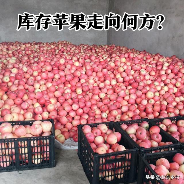 蘋(píng)果批發(fā)哪里最便宜的地方，蘋(píng)果批發(fā)哪里最便宜的地方在哪里？