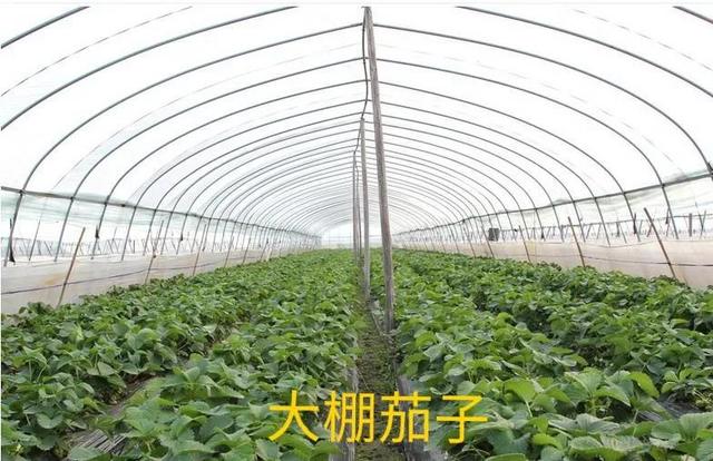 齊齊哈爾批發(fā)衣服在哪里進(jìn)貨便宜，齊齊哈爾批發(fā)衣服的地方？