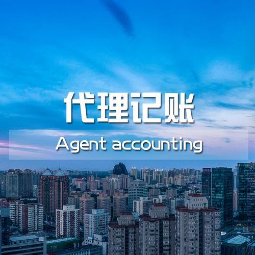 代理記賬的業(yè)務(wù)范圍如何，代理記賬的業(yè)務(wù)范圍如何寫？