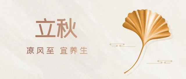 美思康宸阿膠是什么牌子阿膠，美思康宸阿膠總代理價格？
