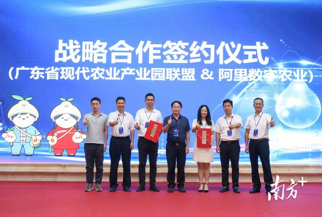 柚子聯(lián)盟代理怎么做賺錢，柚子聯(lián)盟代理怎么做賺錢的？