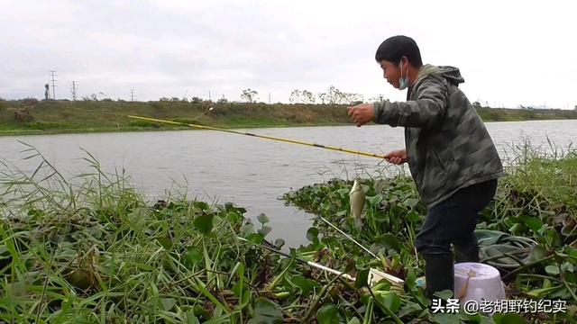 草花批發(fā)市場(chǎng)進(jìn)貨渠道，北京批發(fā)水草市場(chǎng)？