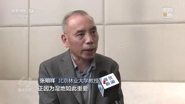日本批發(fā)網(wǎng)站平臺(tái)，日本批發(fā)網(wǎng)站平臺(tái)有哪些？