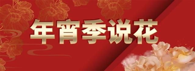 昆明蔬菜種子批發(fā)市場(chǎng)在哪里，無錫種子批發(fā)市場(chǎng)在哪里？