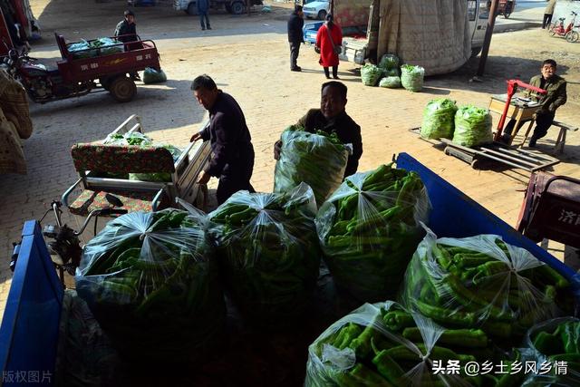 市場(chǎng)賣青菜一天賺多少錢合適，菜市場(chǎng)賣青菜一年能賺多少錢？