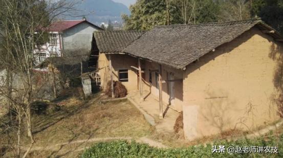 散白酒加盟代理，散酒加盟公司？