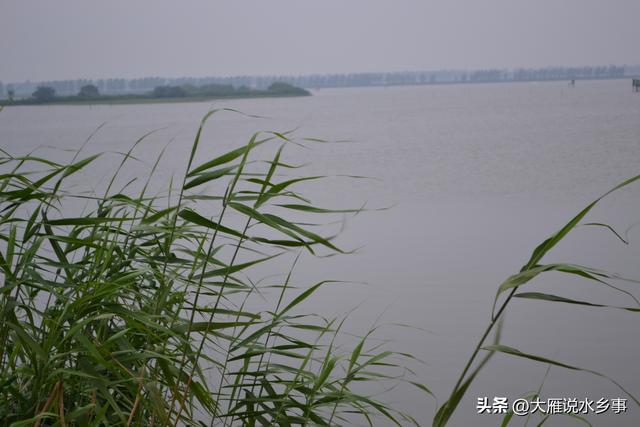 蝦籠網(wǎng)批發(fā)圖片及價格電話訂購，蝦籠批發(fā)市場價格？