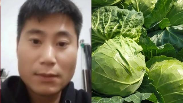 想做蔬菜批發(fā)怎么找貨源，找批發(fā)蔬菜貨源怎么找？
