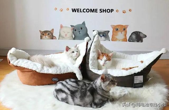 批發(fā)寵物狗一手貨源，寵物用品一件代發(fā)進(jìn)貨渠道？