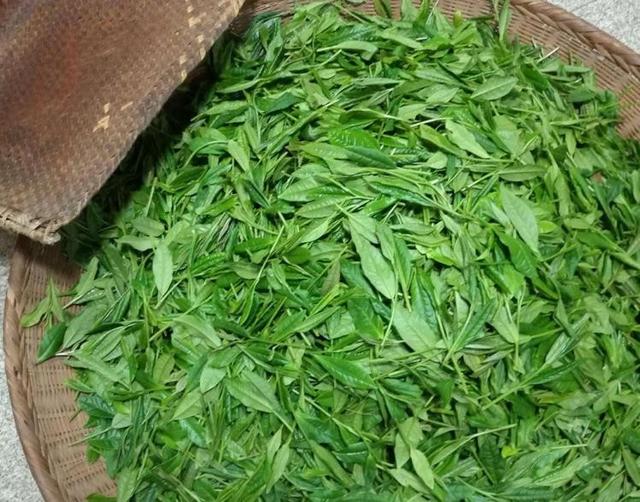 茶葉店如何找一手貨源，淘寶賣(mài)的茶葉？
