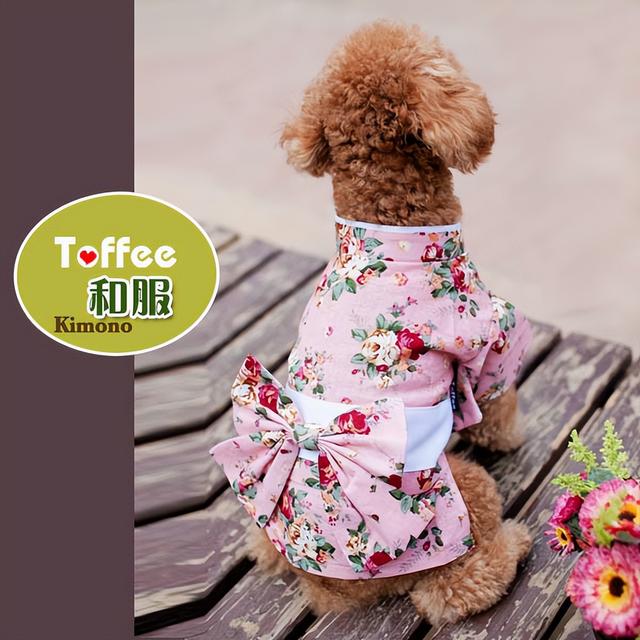 淘寶寵物用品店貨源怎么找，淘寶寵物用品店貨源怎么找的？