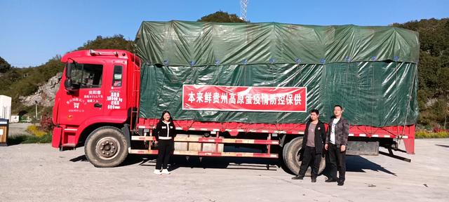 成都電商做什么類目比較多，電商的貨源？