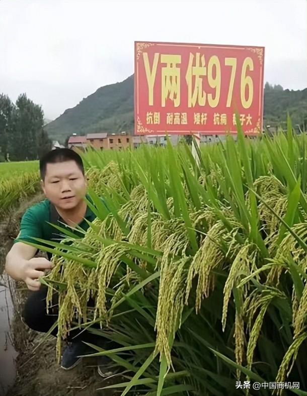 各種貨源批發(fā)網(wǎng)，買賣貨源網(wǎng)？