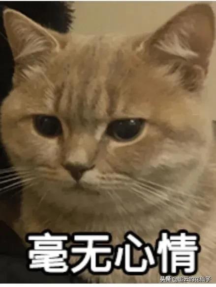 鄭州無貨源淘寶培訓中心，鄭州無貨源淘寶培訓中心地址？