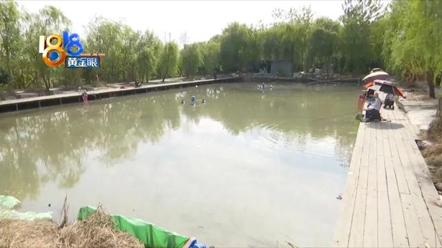 淘寶海帶路亞是正品嗎，淘寶上的貨源？