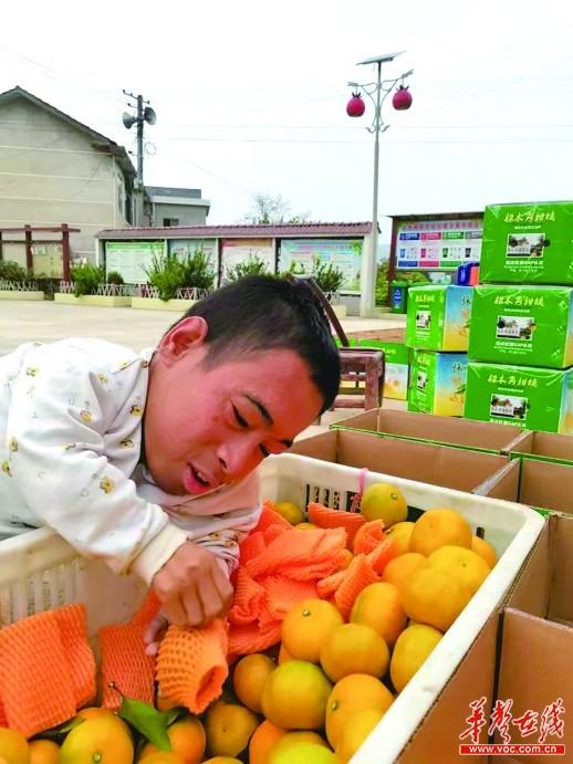 農(nóng)產(chǎn)品土特產(chǎn)_代理廠家，特產(chǎn)代理網(wǎng)？