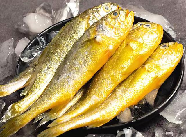 冰凍小黃魚批發(fā)價(jià)，？