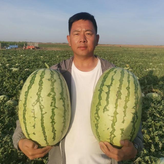 微信賣水果貨源一手貨源，微信賣水果貨源一手貨源可靠嗎？